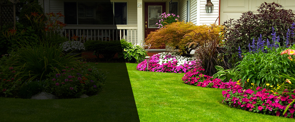 Shelbyville Landscapers